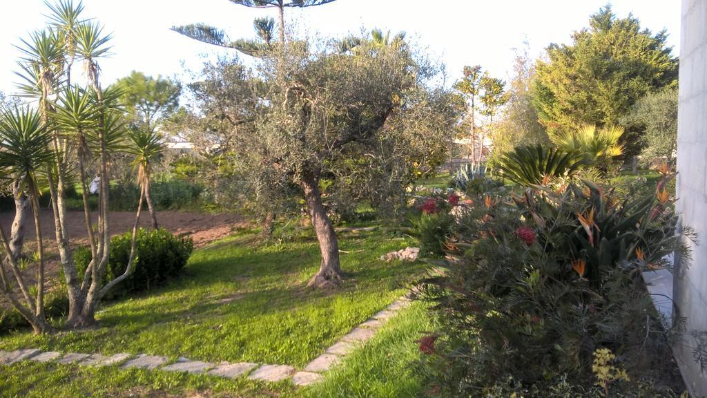 Vacanze al Minci Giurdignano Esterno foto