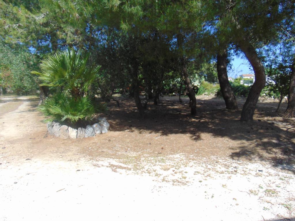 Vacanze al Minci Giurdignano Esterno foto